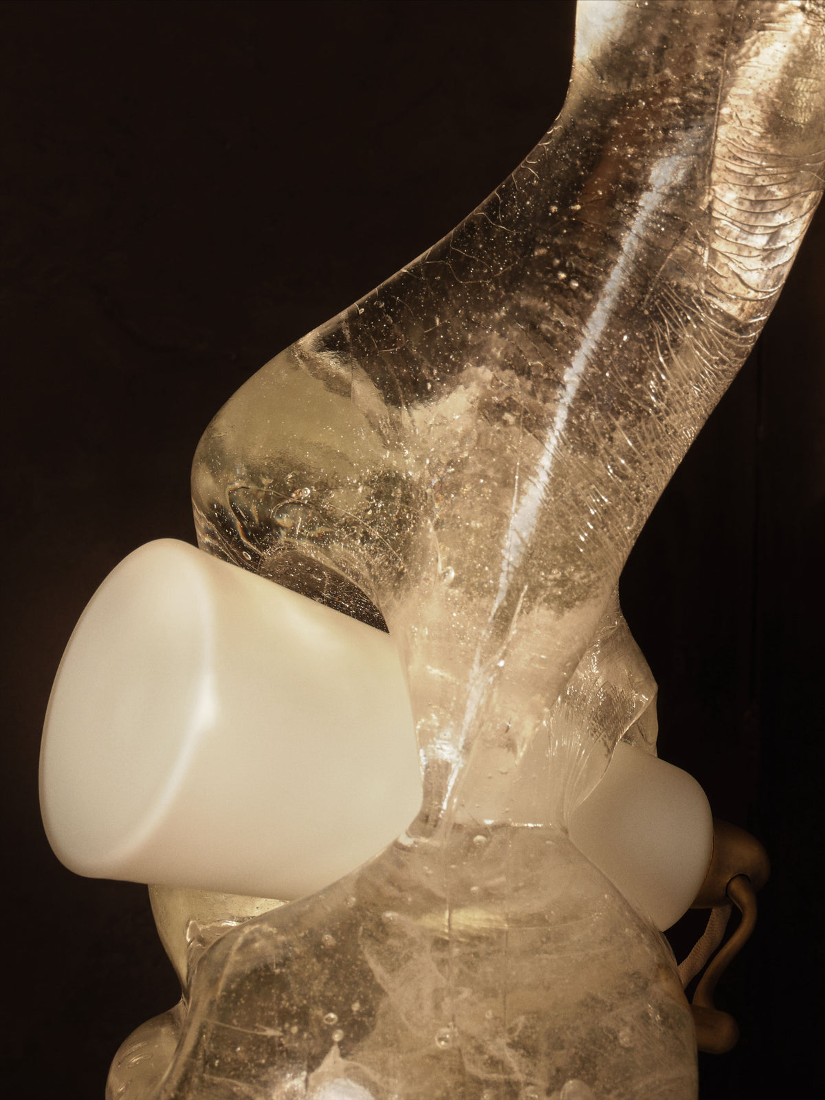 Squidge Table Lamp