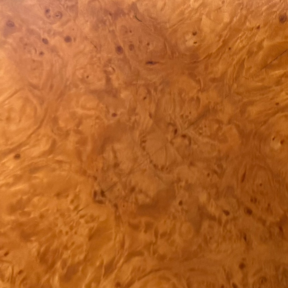 Maple Burl