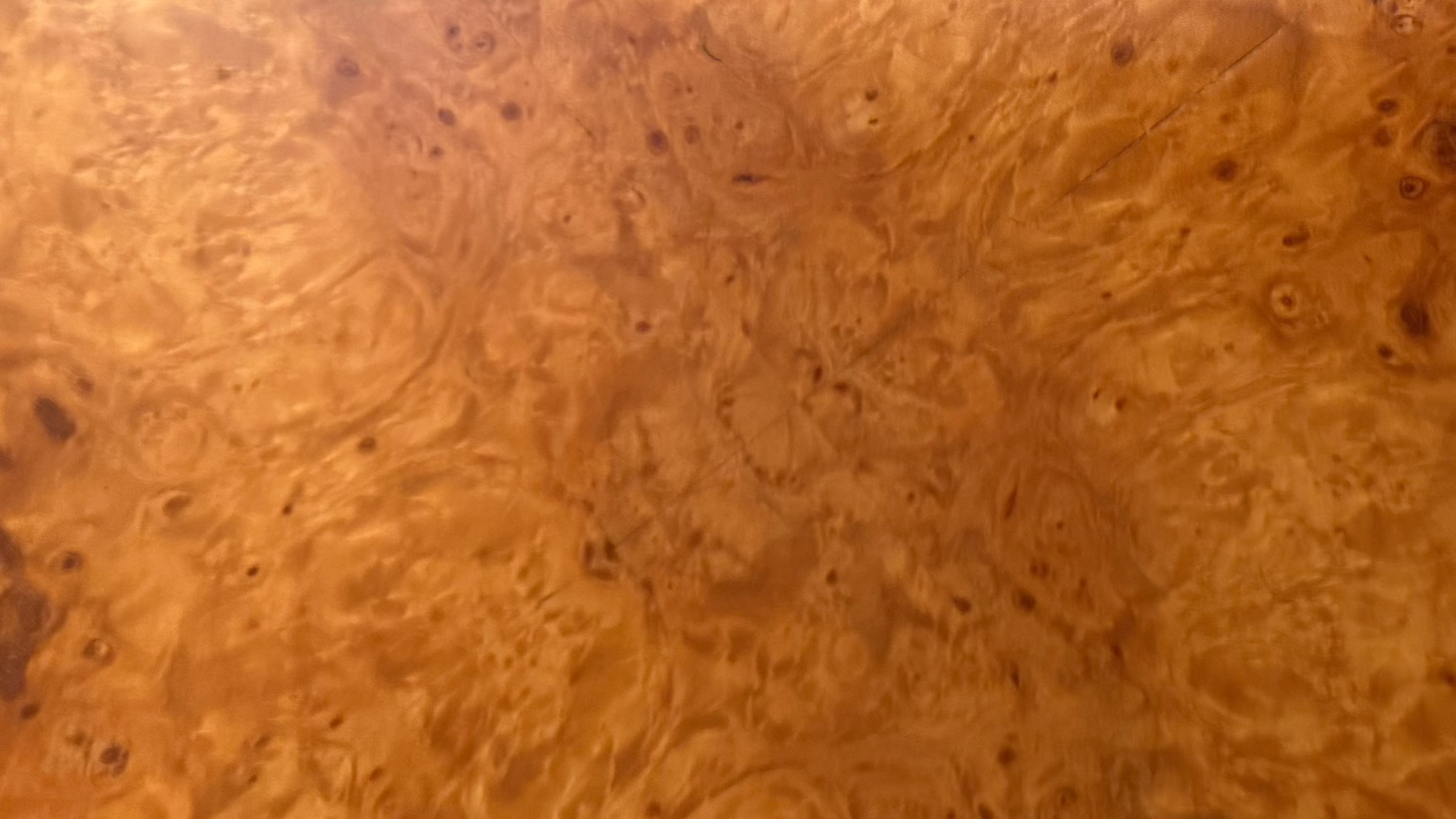 Maple Burl